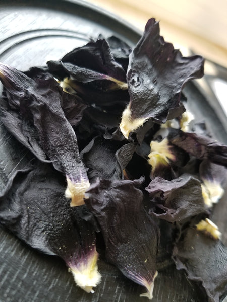 Black Hollyhock