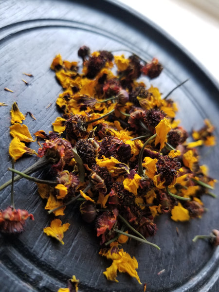 Dyer's Coreopsis