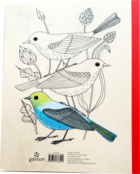Avian Friends Guided Activity Journal