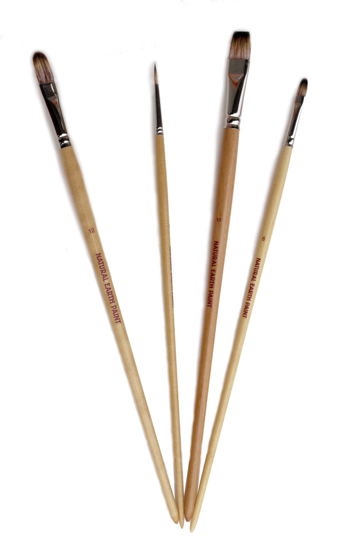 Brushes Eco Friendly Set of 4
