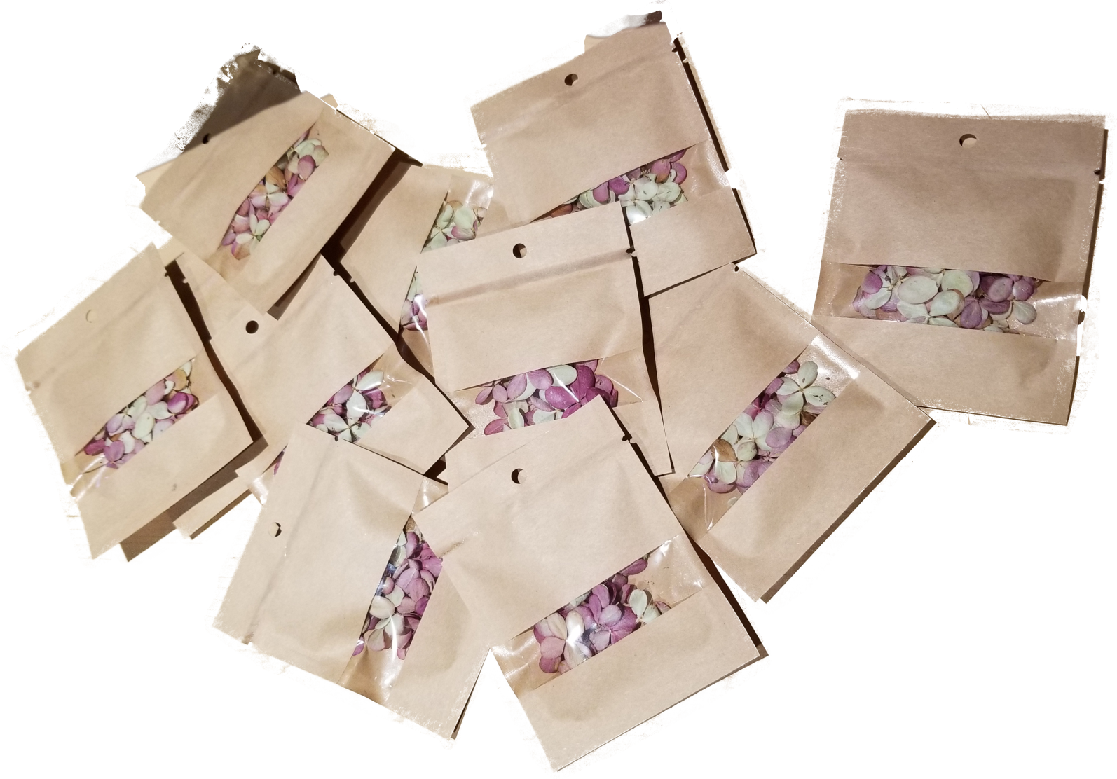 Hydrangea dried petals