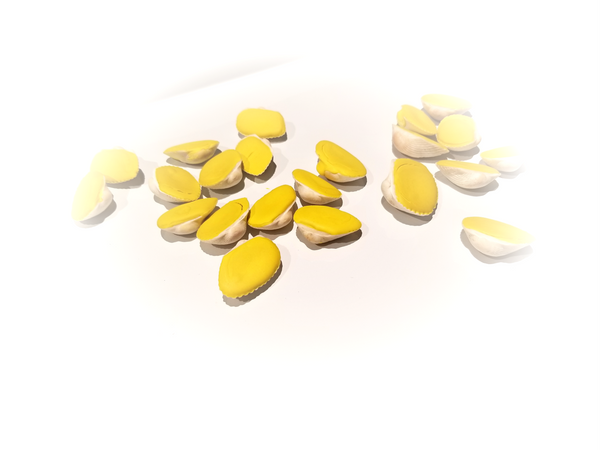 Watercolor Paint - Lemon Yellow